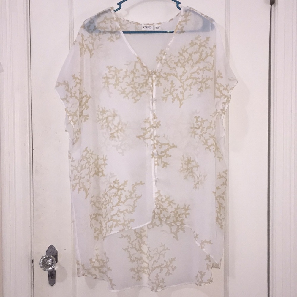 Sheer Button Down